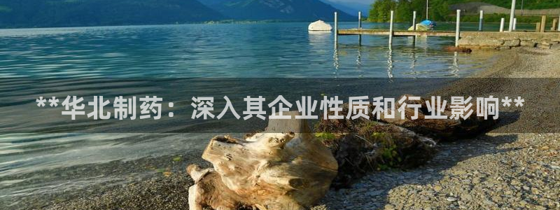 九游会老哥俱乐部官网首页：**华北制药：深入其企业性质和行业影响**