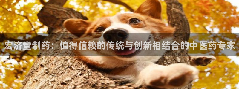 老哥俱乐部是干什么的啊：宏济堂制药：值得信赖的传统与创新相结合的中医药专家