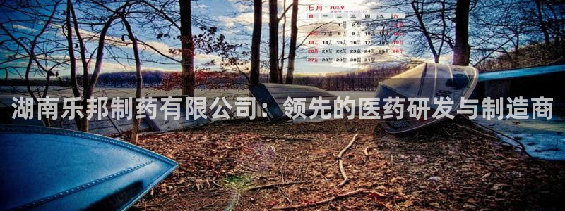 老哥吧九游会：湖南乐邦制药有限公司：领先的医药研发与制造商