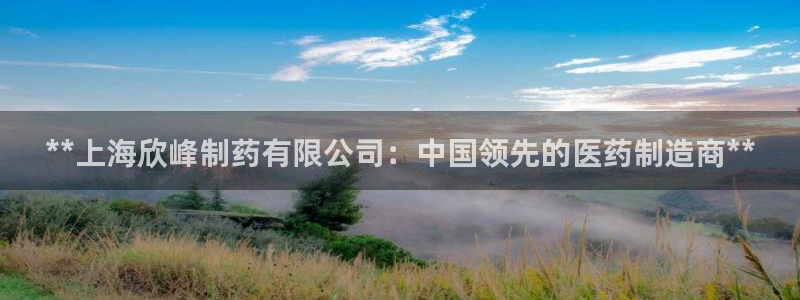 ag九游老哥俱乐部：**上海欣峰制药有限公司：中国领先的医药制造商**