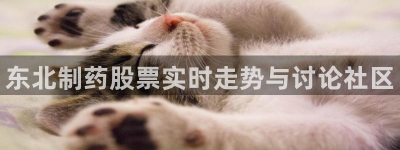 老哥俱乐部是干什么的：东北制药股票实时走势与讨论社区