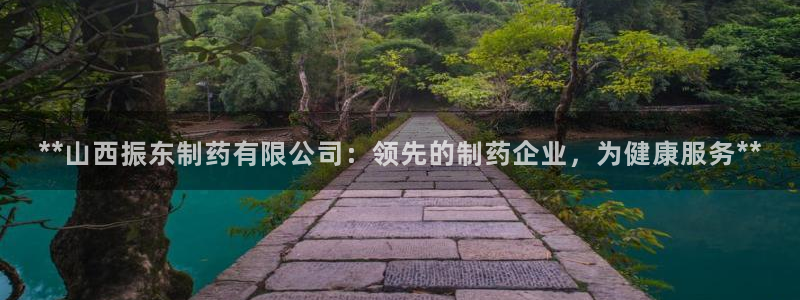 老哥吧九游会：**山西振东制药有限公司：领先的制药企业，为健康服务**