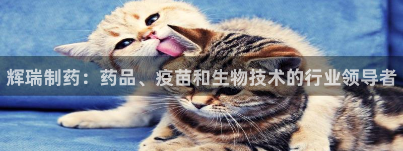 老哥俱乐部是干什么的：辉瑞制药：药品、疫苗和生物技术的行业领导者