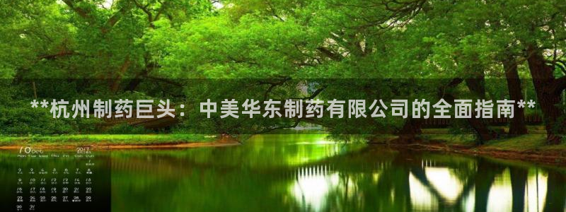 老哥吧九游会：**杭州制药巨头：中美华东制药有限公司的全面指南**