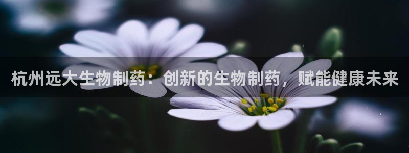 九游会老哥必备的交流社区九