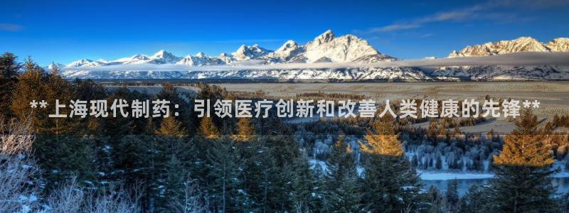 ag九游会老哥：**上海现代制药：引领医疗创新和改善人类健康的先锋**
