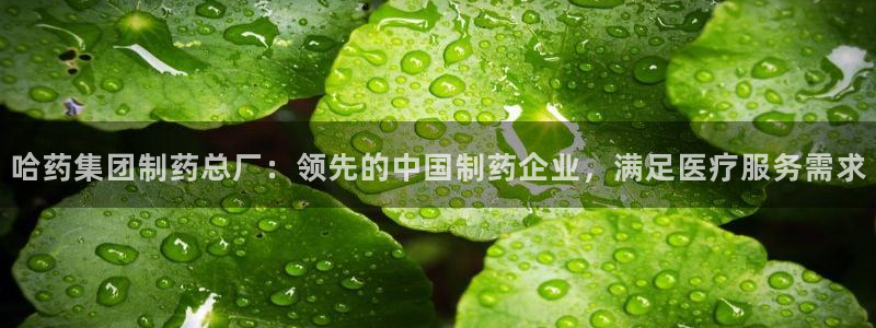 j9九游会老哥俱乐部交流区：哈药集团制药总厂：领先的中国制药企业，满足医疗服务需求
