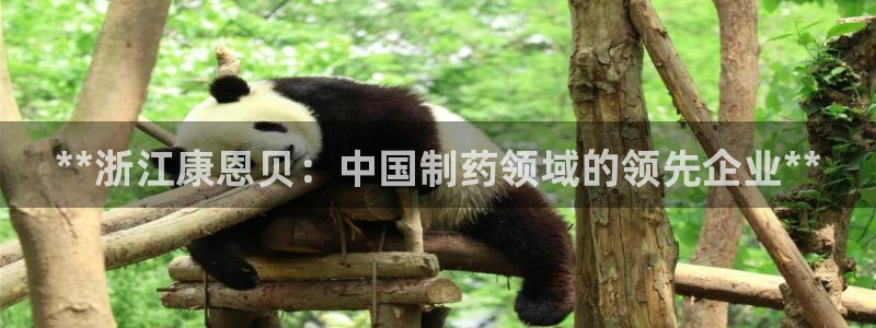九游会老哥俱乐部官网首页：**浙江康恩贝：中国制药领域的领先企业**