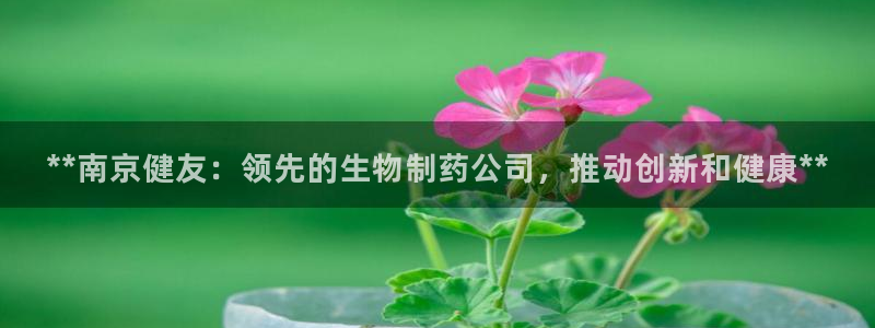 九游会老哥俱乐部官网：**南京健友：领先的生物制药公司，推动创新和健康**