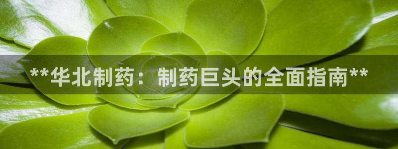 九游老哥俱乐部官网登录网址：**华北制药：制药巨头的全面指南**