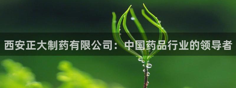 九游会老哥俱乐部必备的交流社区：西安正大制药有限公司：中国药品行业的领导者