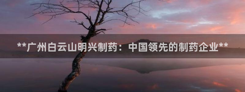 ag九游老哥俱乐部：**广州白云山明兴制药：中国领先的制药企业**