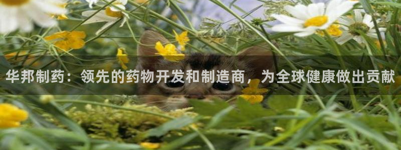 九游老哥俱乐部官网登录：华邦制药：领先的药物开发和制造商，为全球健康做出贡献