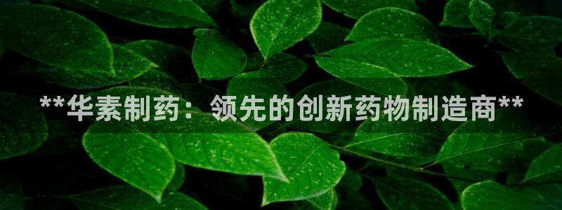 老哥吧九游会下架吗：**华素制药：领先的创新药物制造商**