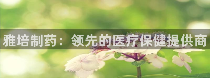 ag九游会老哥俱乐部：雅培制药：领先的医疗保健提供商