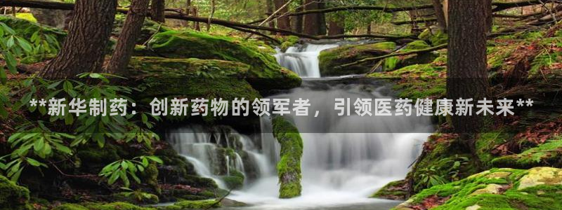 九游老哥俱乐部官网登录网址：**新华制药：创新药物的领军者，引领医药健康新未来**