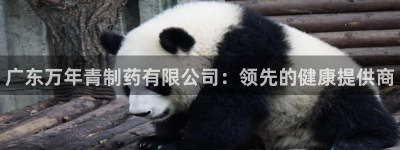 ag九游老哥俱乐部：广东万年青制药有限公司：领先的健康提供商