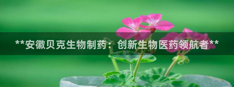 ag九游老哥俱乐部