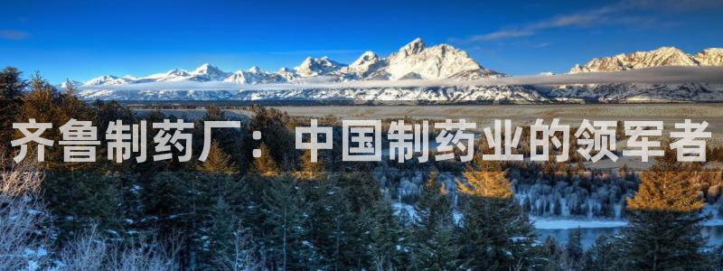 九游老哥俱乐部登录：齐鲁制药厂：中国制药业的领军者