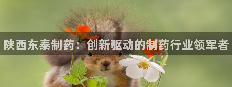 九游会老哥俱乐部官网