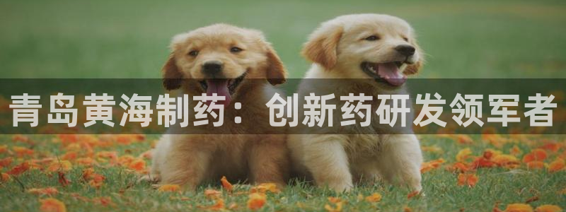 九游会老哥俱乐部官网首页论坛：青岛黄海制药：创新药研发领军者