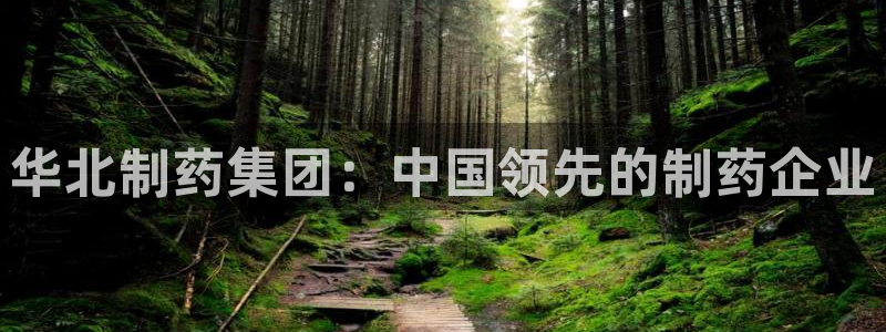 九游会老哥俱乐部官网首页论坛：华北制药集团：中国领先的制药企业