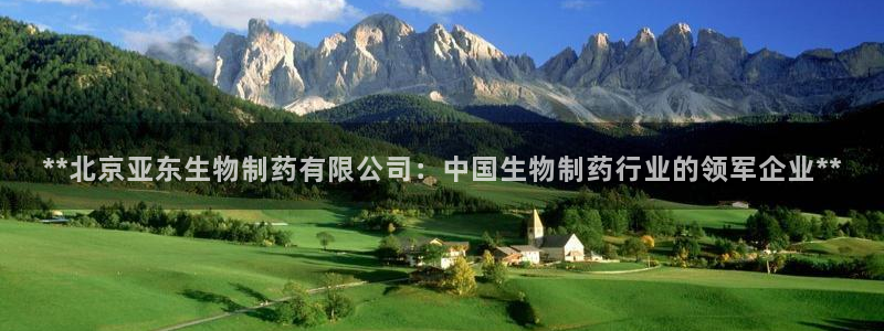 九游会老哥：**北京亚东生物制药有限公司：中国生物制药行业的领军企业**