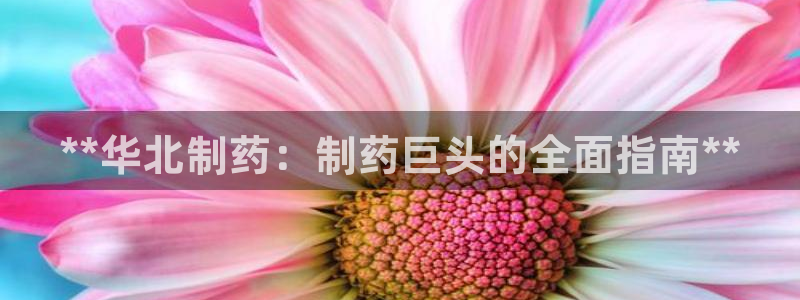 ag九游会老哥俱乐部：**华北制药：制药巨头的全面指南**