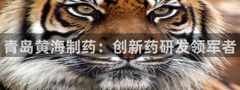 9游会老哥俱乐部：青岛黄海制药：创新药研发领军者