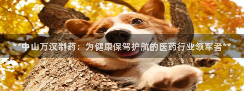 usdt九游会老哥俱乐部：**中山万汉制药：为健康保驾护航的医药行业领军者**