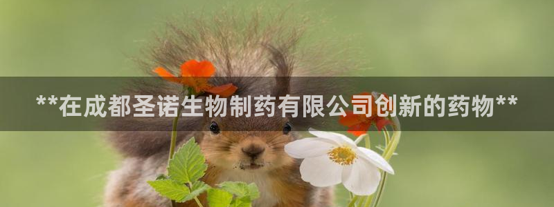 九游老哥俱乐部官网登录：**在成都圣诺生物制药有限公司创新的药物**
