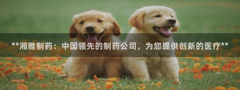 ag九游会老哥：**湘雅制药：中国领先的制药公司，为您提供创新的医疗**