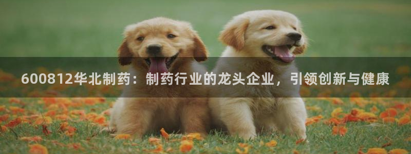 usdt九游会老哥俱乐部：600812华北制药：制药行业的龙头企业，引领创新与健康