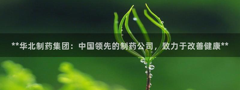 九游会老哥俱乐部论坛版：**华北制药集团：中国领先的制药公司，致力于改善健康**