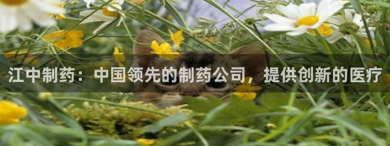 九游会老哥必备的交流社区九：江中制药：中国领先的制药公司，提供创新的医疗