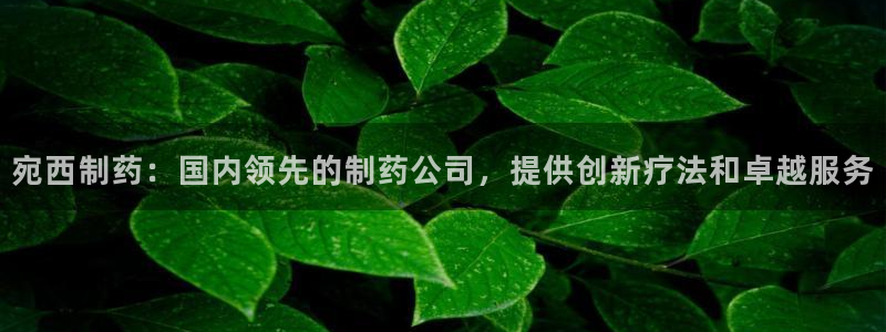 九游会老哥俱乐部官方网站：宛西制药：国内领先的制药公司，提供创新疗法和卓越服务