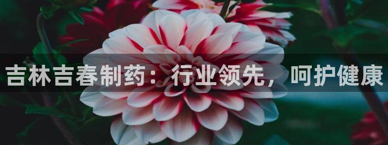 老哥吧九游会下架吗