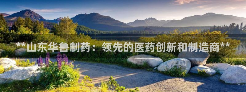 老哥俱乐部是干什么的：**山东华鲁制药：领先的医药创新和制造商**