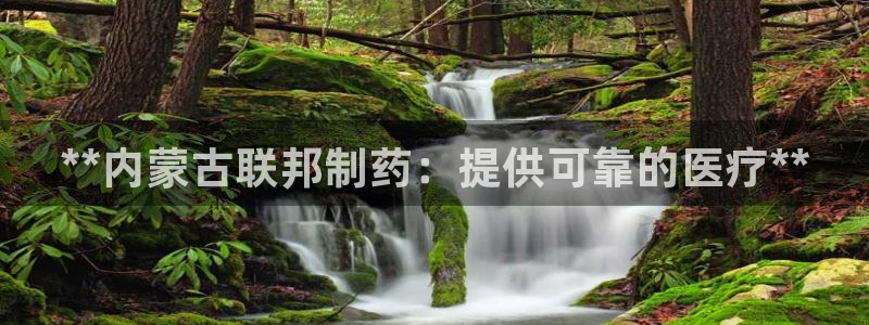 老哥俱乐部是干什么的：**内蒙古联邦制药：提供可靠的医疗**