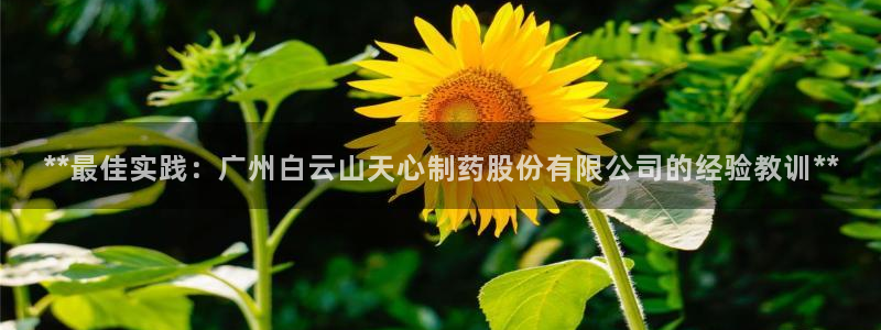 九游会老哥俱乐部社区论坛：**最佳实践：广州白云山天心制药股份有限公司的经验教训**