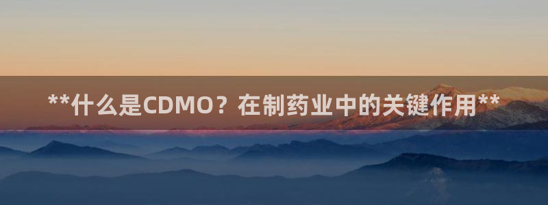 usdt九游会老哥俱乐部：**什么是CDMO？在制药业中的关键作用**