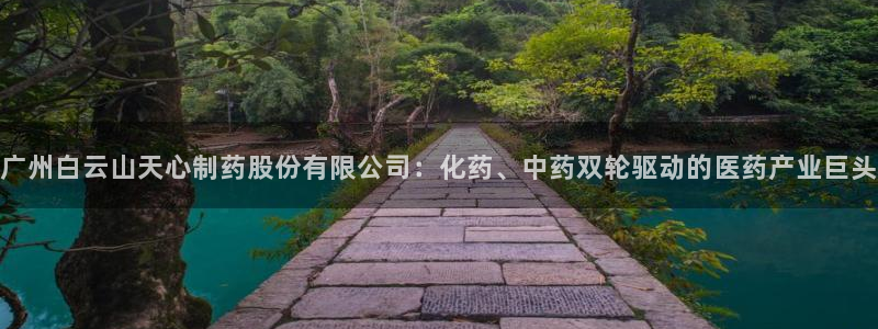 九游会老哥必备的交流社区：广州白云山天心制药股份有限公司：化药、中药双轮驱动的医药产业巨头