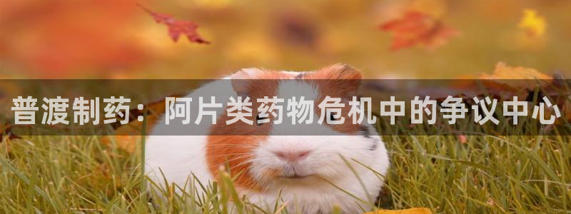 老哥吧九游会：普渡制药：阿片类药物危机中的争议中心