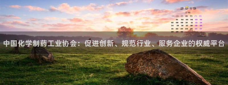 九游会老哥必备的交流社区：中国化学制药工业协会：促进创新、规范行业、服务企业的权威平台