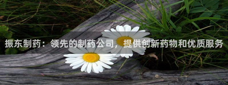 9游会老哥：振东制药：领先的制药公司，提供创新药物和优质服务