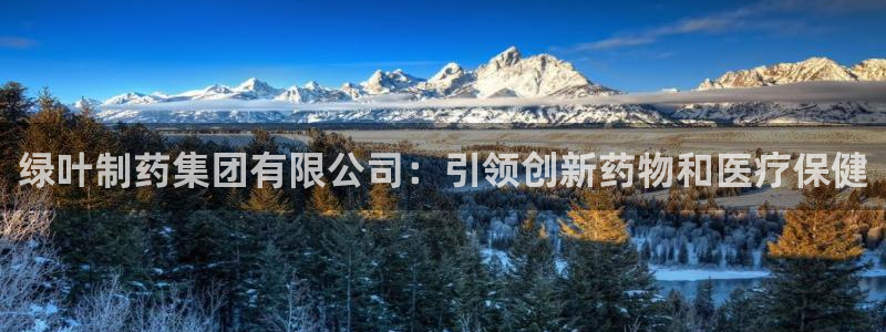 九游会老哥俱乐部：绿叶制药集团有限公司：引领创新药物和医疗保健