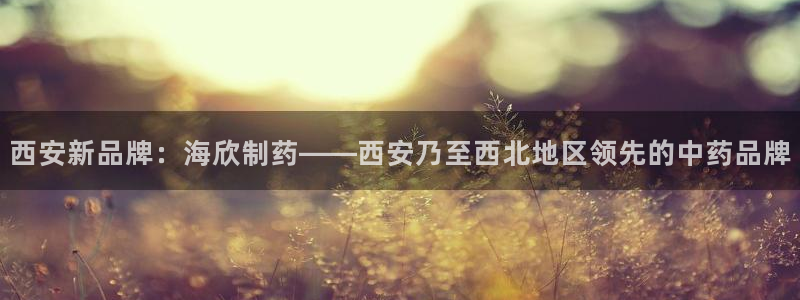九游会老哥俱乐部交流社区：西安新品牌：海欣制药——西安乃至西北地区领先的中药品牌