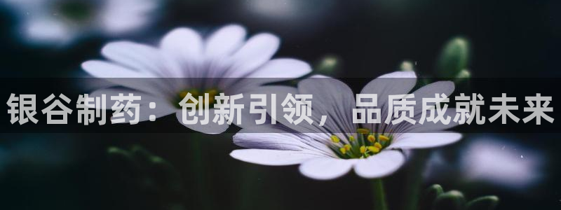 九游会老哥俱乐部必备的交流社区论坛：银谷制药：创新引领，品质成就未来