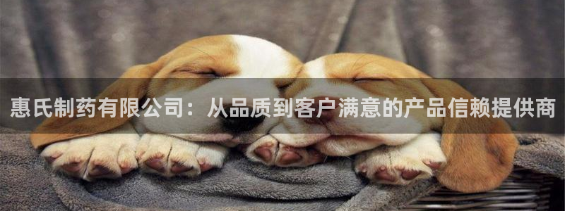九游会老哥俱乐部官网：惠氏制药有限公司：从品质到客户满意的产品信赖提供商