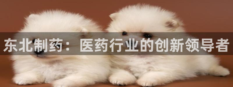 老哥吧九游会下架吗：东北制药：医药行业的创新领导者